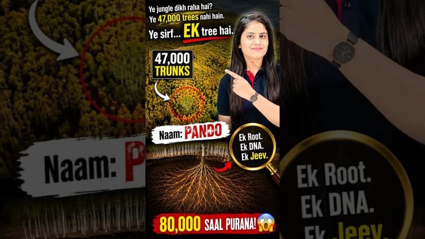 47,000 Trees… But ONLY 1 Tree 😱 | 80,000 Year Old Pando #gyanfact
