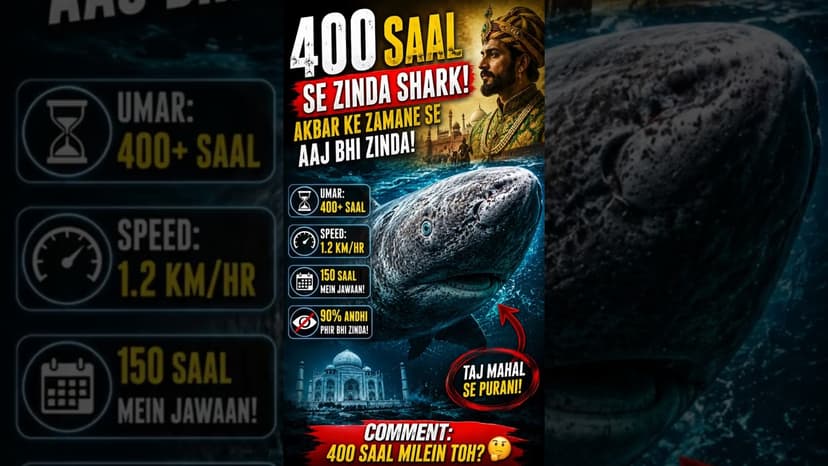 Ye Shark Akbar Ke Zamane Se Zinda Hai 😨 400 Year Old Shark #itihaasnukkad