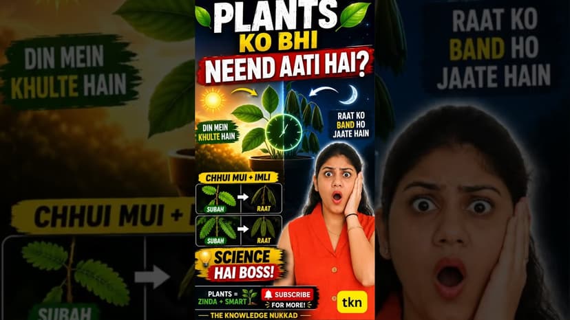 Do Plants Sleep? The Hidden Plant Clock Explained